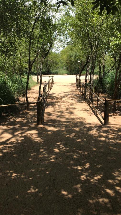 Mzsingitana Tented Camp Ходспруит Екстериор снимка