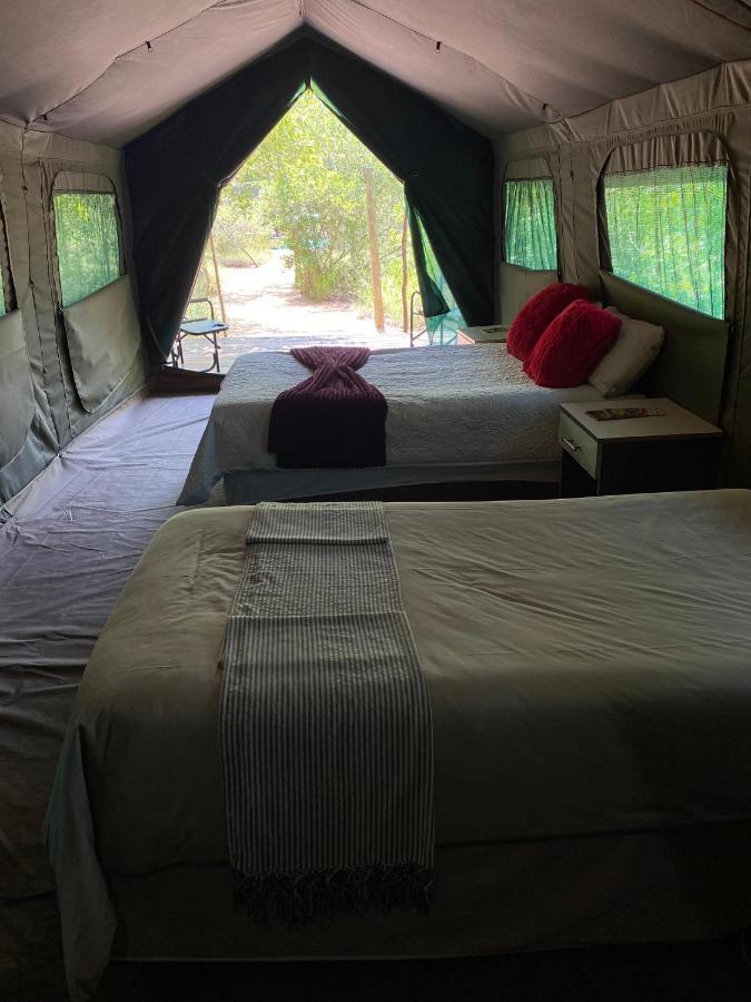 Mzsingitana Tented Camp Ходспруит Екстериор снимка
