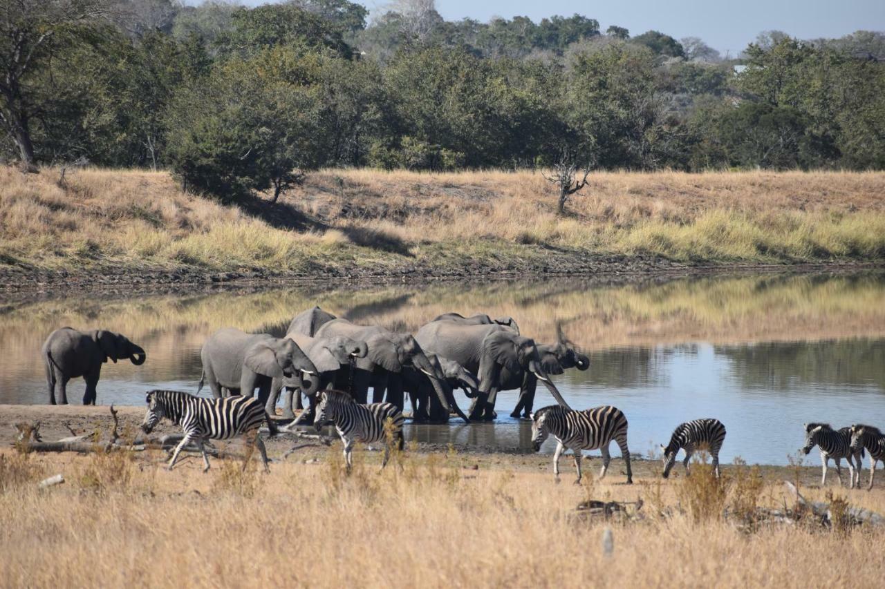 Mzsingitana Tented Camp Ходспруит Екстериор снимка
