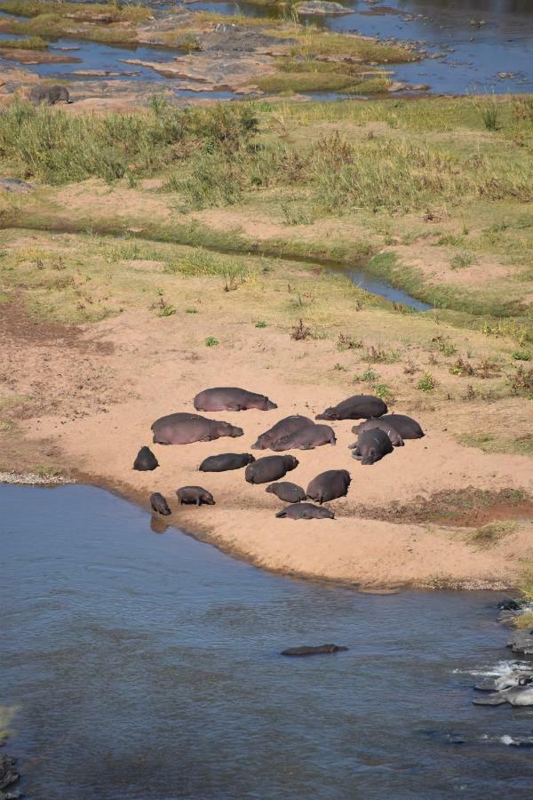Mzsingitana Tented Camp Ходспруит Екстериор снимка