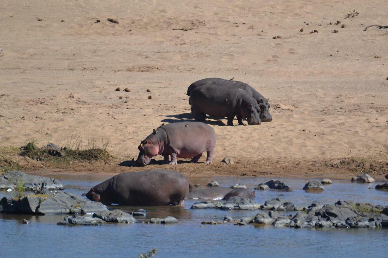 Mzsingitana Tented Camp Ходспруит Екстериор снимка
