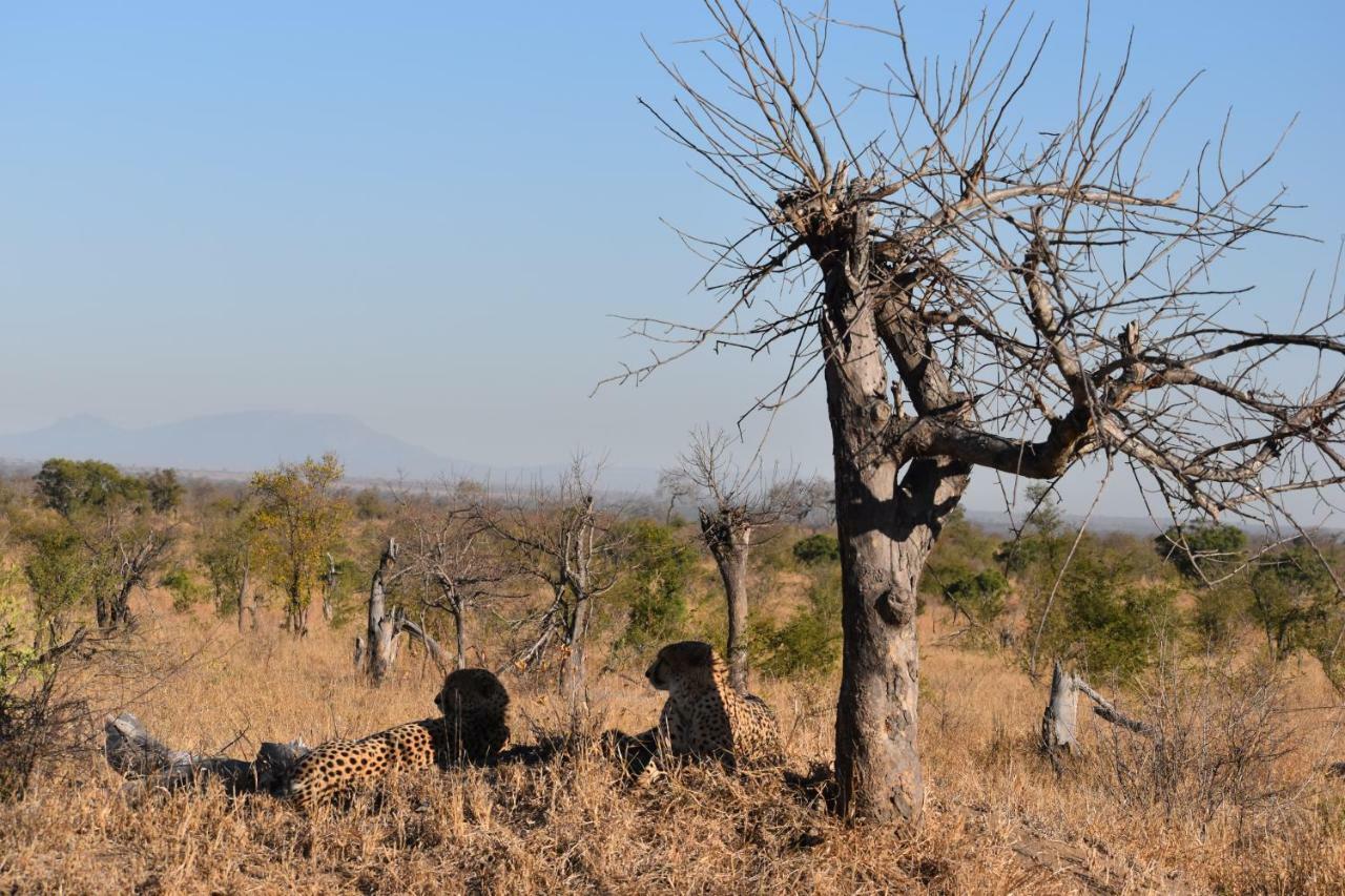 Mzsingitana Tented Camp Ходспруит Екстериор снимка