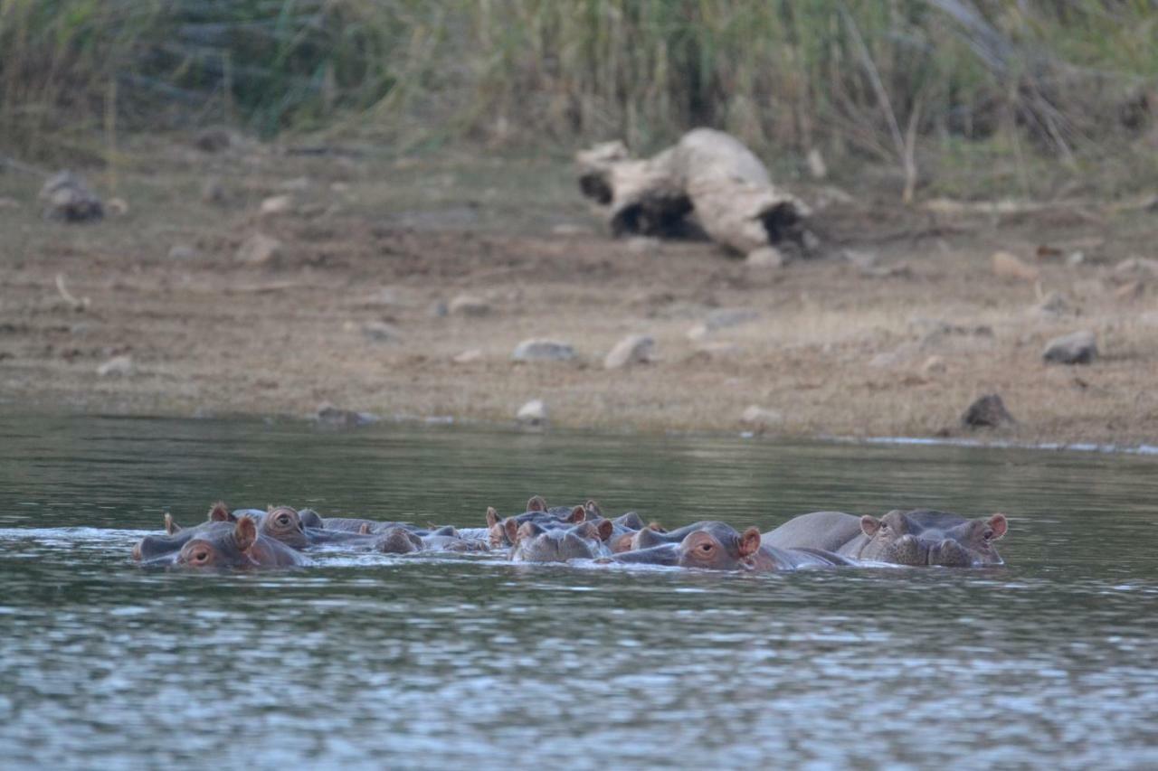 Mzsingitana Tented Camp Ходспруит Екстериор снимка